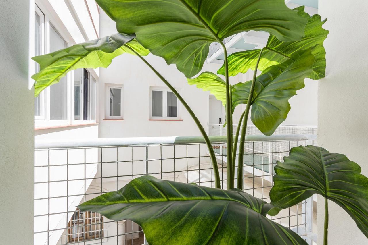Dona Blanca Centro Diseno Minimalista Apartment เฮเรซ เด ลาฟรอนเตรา ภายนอก รูปภาพ